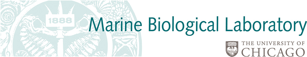 MBL Logo